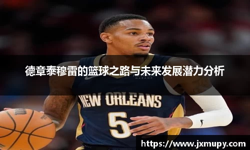 九游体育官网入口